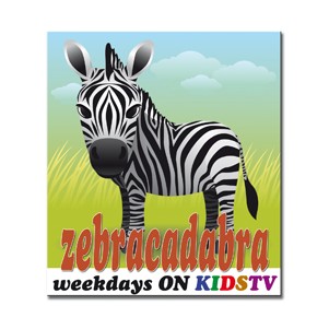 Rectangle Indoor Use Magnet (3 3/4"x4 1/4")