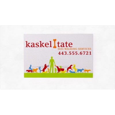 Full Color Standard Magnets w/Various Sizes